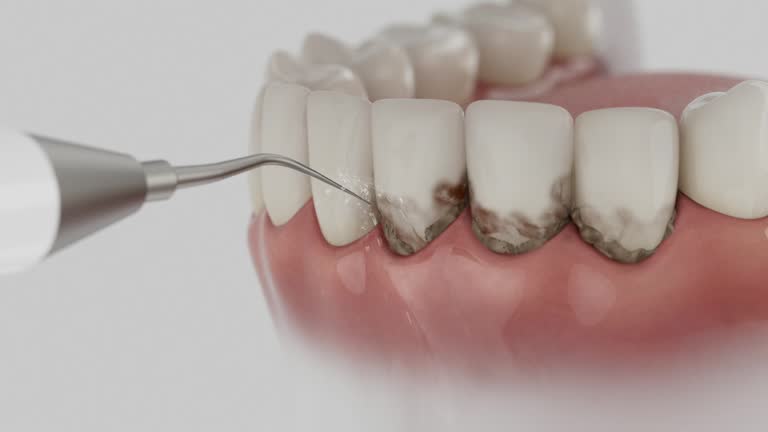 Reliable Dental contractor in Brambleton, VA by Dentist Open Now